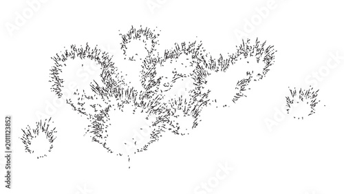 Fotografie Abstract representation of floral elements and leaves for decorative purposes