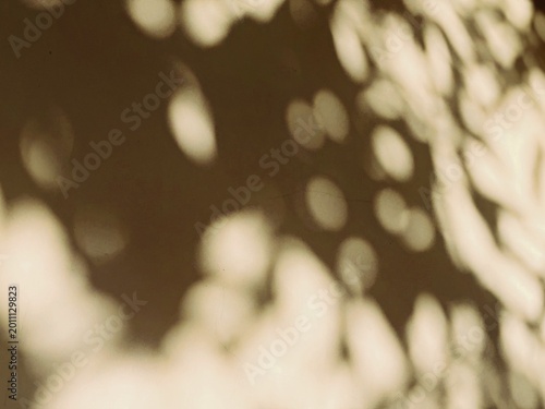 Photos Abstract light and shadow texture with soft bokeh on a warm surface, dappled sun