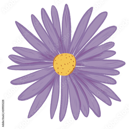 Tableau sur toile Hand-Drawn Purple Aster Flower Clipart with Muted Grainy Texture transparent bac