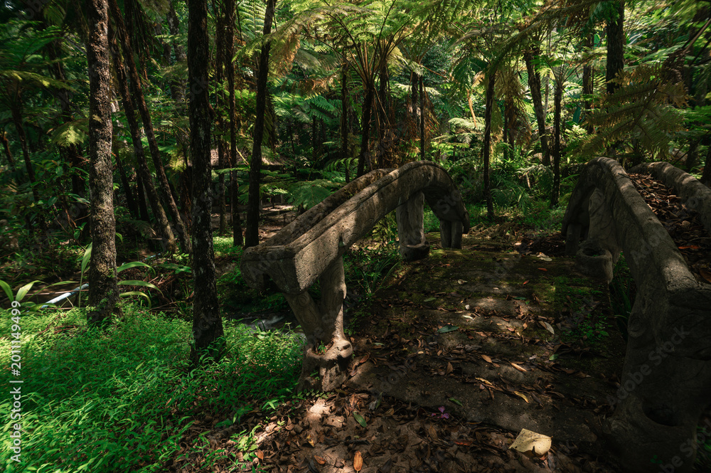 Fototapeta premium Serene Waterfall Scene in Woodland of Chiang Mai, Thailand