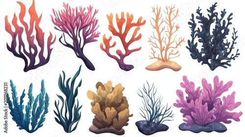 Isolated sea flora elements in cartoon style with organic flowing shapes of kelp, sea grass, coral branches and reef formations