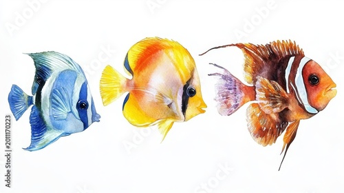 Elegant composition of aquarium favorites like Copperband Butterflyfish and Zebra Angelfish in watercolor tones, isolated on white for clarity