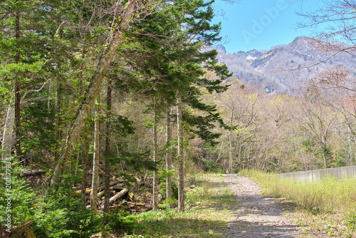 Tableau sur toile 恵庭岳登山口の風景と新緑 Trailhead to Mount Eniwa and Fresh Greenery