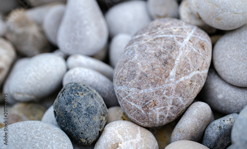 Obraz na plátně Close up of a distinctive grey beach stone featuring intricate white crossing ve