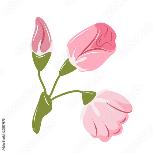 Cute pink flowers isolated on white background. Simple floral vector illustration perfect for spring design, invitations, branding and decorative projects.