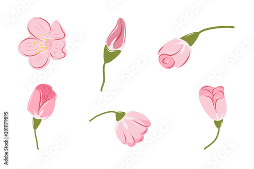 Pink floral elements set with blossoms and buds isolated on white background. Botanical collection perfect for spring design and decorative projects.