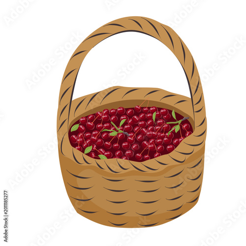Basket with ripe red cherries isolated on white background. Cute harvest illustration perfect for food packaging, farmers market and seasonal design projects.