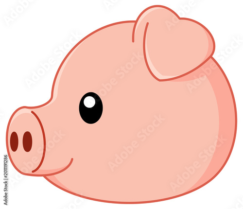 pig