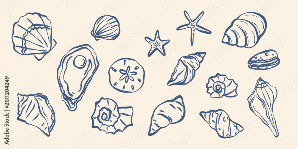 Obraz premium Hand drawn blue seashells and starfish collection