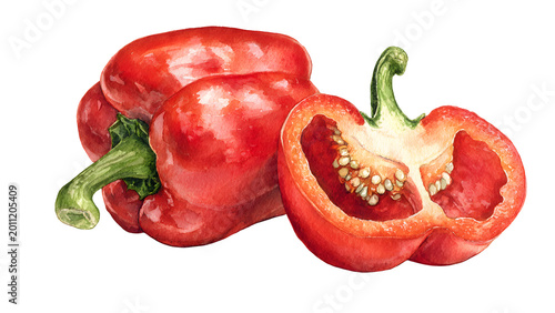 Vibrant red bell peppers, one whole and one cut in half to reveal its fresh interior and seeds. Detailed watercolor illustration of this healthy and organic culinary ingredient