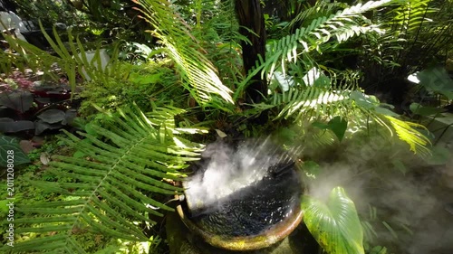 Tropical jungle with river and sun beam and foggy in the green forest garden	