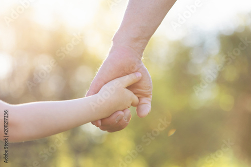 Fotografie Loving fathers hand holding his little child in sunny day, united family, support of trust and happy childhood concept, spending time together and walking in parkland