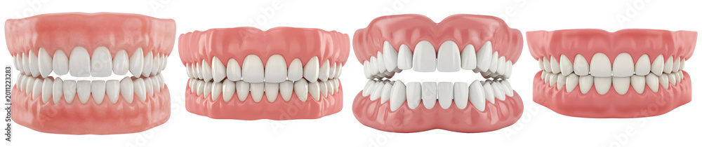 Obraz premium Detailed 3D render of a full set of false teeth or dentures, showcasing different perspectives for dental education.