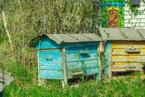 Abandoned traditional beehives near rural home. A symbolic image of global bee population