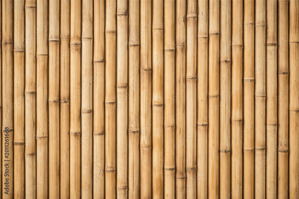 Fototapeta premium Bamboo Stalk Wall Texture Background