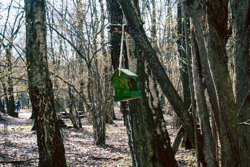 Canvas Print green bird feeder in the spring forest