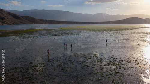 Photography Aerial view of people on tidal flats at sunset