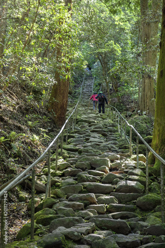 熊野磨崖仏への参道