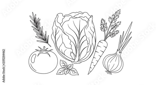 Hand Drawn Fresh Vegetables Arranged As Minimal Line Art on White Background