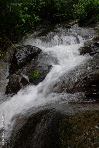 beautiful waterfall with trees and coral. water flows over dark, rugged stones, rocks creating staircase effect. The scene is serene natural landscape.