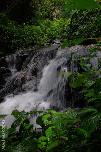beautiful waterfall with trees and coral. water flows over dark, rugged stones, rocks creating staircase effect. The scene is serene natural landscape.