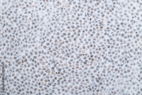 Canvastavla Close up of chia seeds soaking in milk, preparation for healthy chia pudding