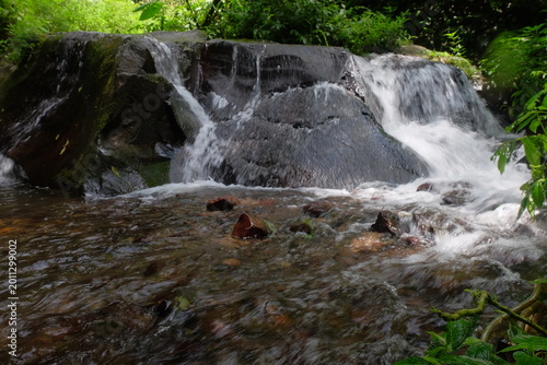 beautiful waterfall with trees and coral. water flows over dark, rugged stones, rocks creating staircase effect. The scene is serene natural landscape.