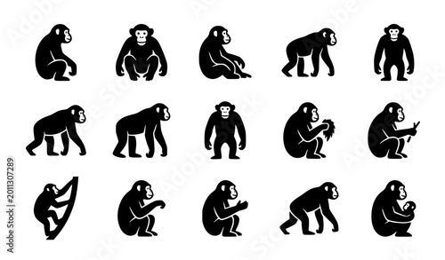 Canvas Print Chimpanzee monkey silhouettes collection featuring wild apes sitting walking sta