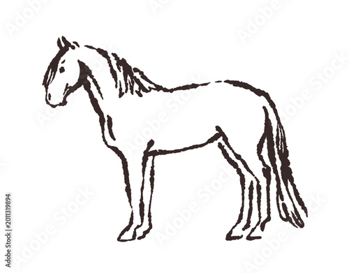 Horse profile, doodle sketch line drawing. Outline equine animal in standing ...