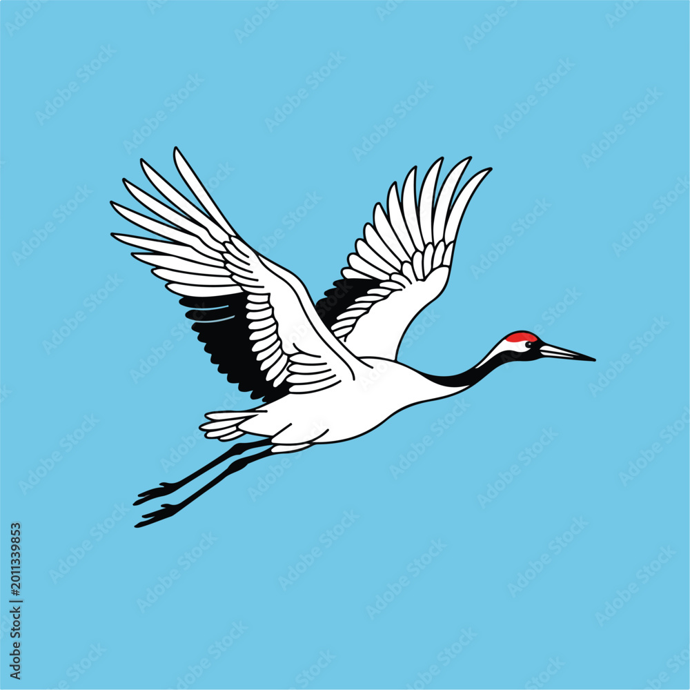 Fototapeta premium White Bird Flying in Sky.