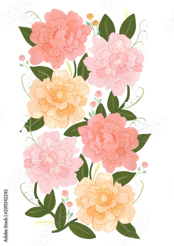 Hand painted flowers, pions, roses with transparent background