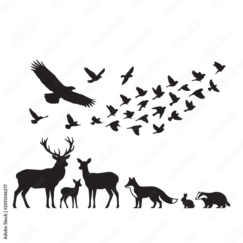 Fototapeta premium Wildlife forest animals and birds flying together in nature