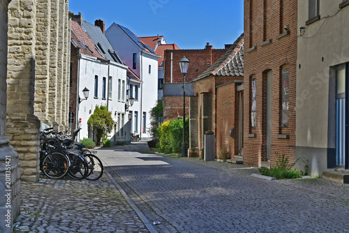 Foto Malines (Mechelen):  lo storico quartiere del Groot Begijnhof (Gran Beghinaggio)