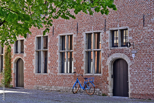 Foto Malines (Mechelen):  lo storico quartiere del Groot Begijnhof (Gran Beghinaggio)