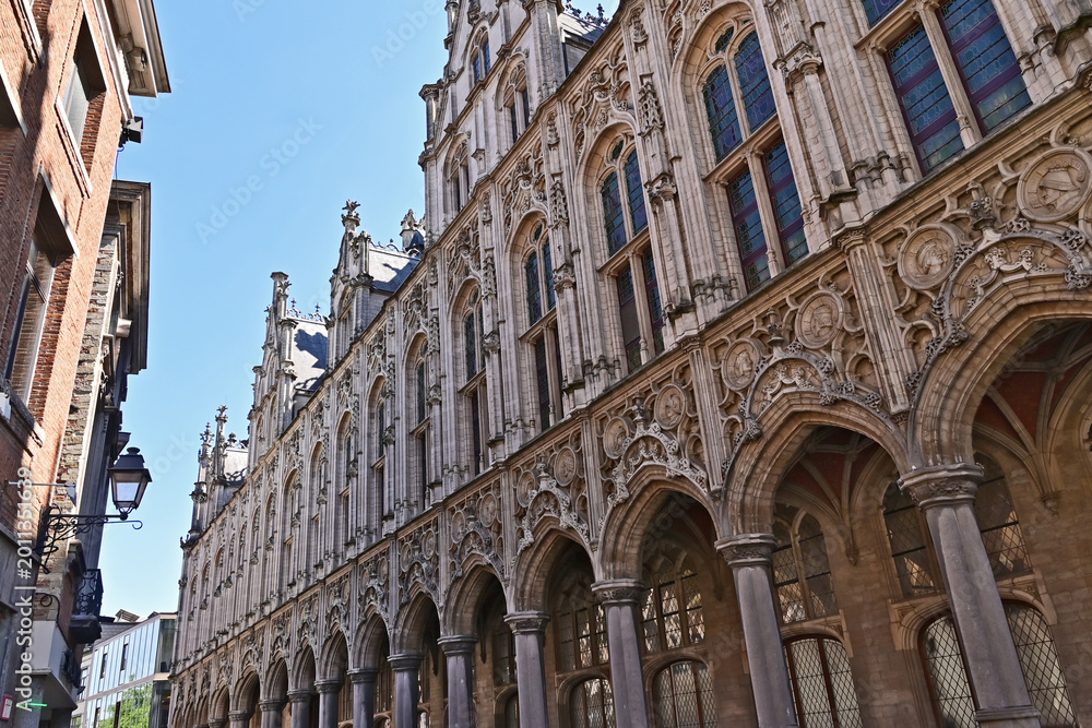Obraz premium Malines (Mechelen): il Municipio (Stadhuis van Mechelen), nella piazza Grote Markt, Fiandre, Belgio