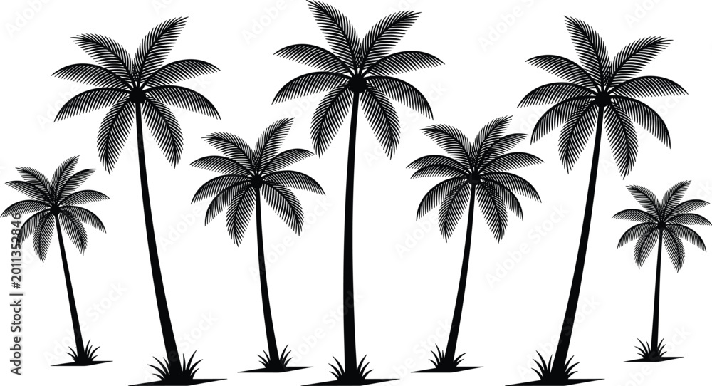 Fototapeta premium Palm trees silhouettes collection set, tropical summer landscape elements in black vector style for beach, island and nature design illustration isolated background