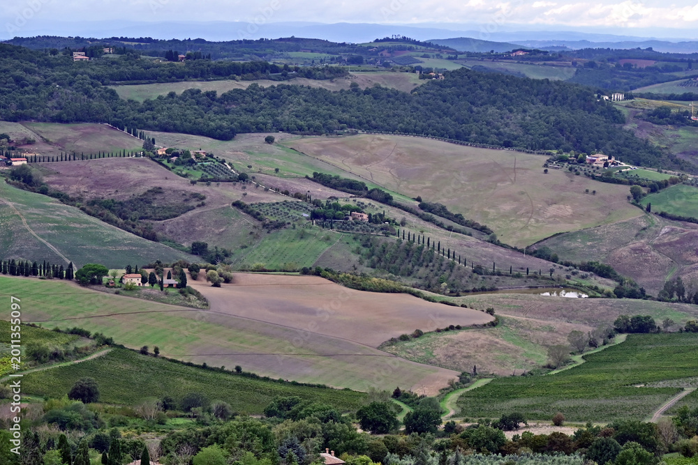 Naklejka premium Montepulciano, veduta della valle dalla Chiesa o Santuario della Madonna di San Biagio, Val d'Orcia, Toscana