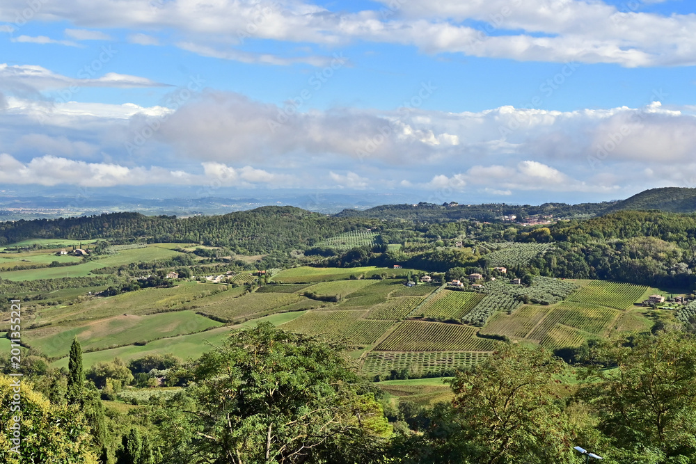 Naklejka premium Montepulciano, veduta della valle dalla Chiesa o Santuario della Madonna di San Biagio, Val d'Orcia, Toscana