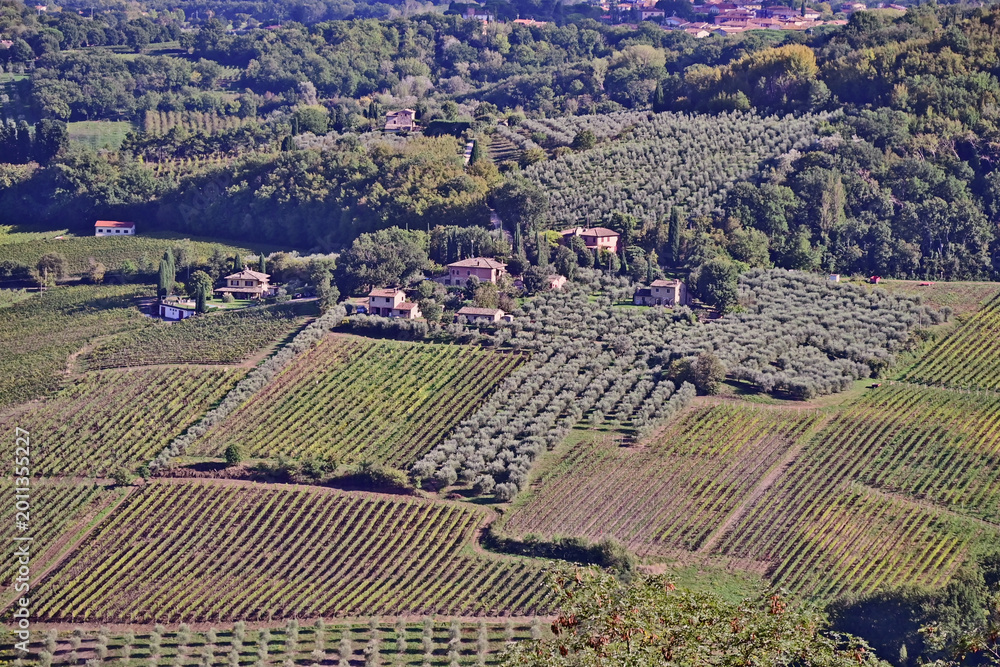 Naklejka premium Montepulciano, veduta della valle dalla Chiesa o Santuario della Madonna di San Biagio, Val d'Orcia, Toscana