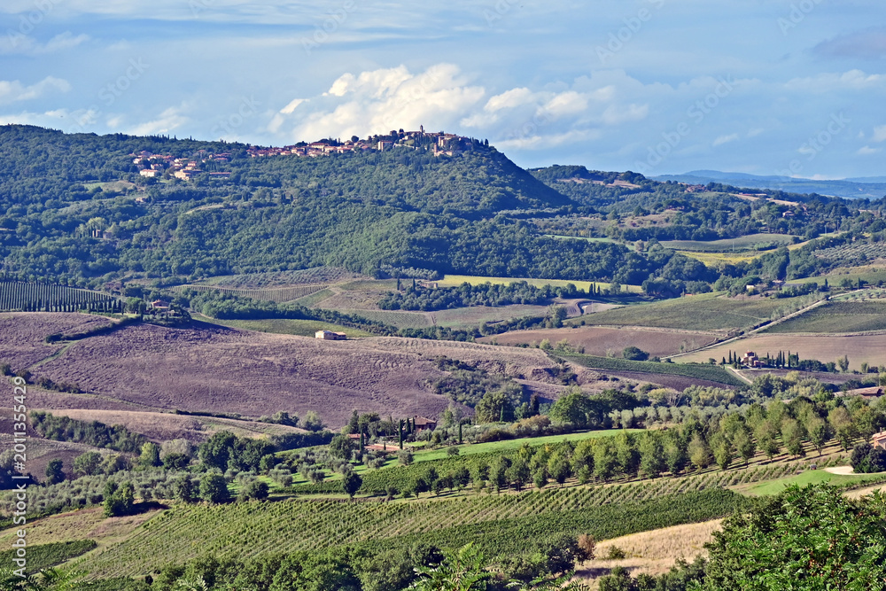 Naklejka premium Montepulciano, veduta della valle dalla Chiesa o Santuario della Madonna di San Biagio, Val d'Orcia, Toscana