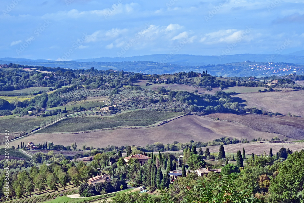 Naklejka premium Montepulciano, veduta della valle dalla Chiesa o Santuario della Madonna di San Biagio, Val d'Orcia, Toscana
