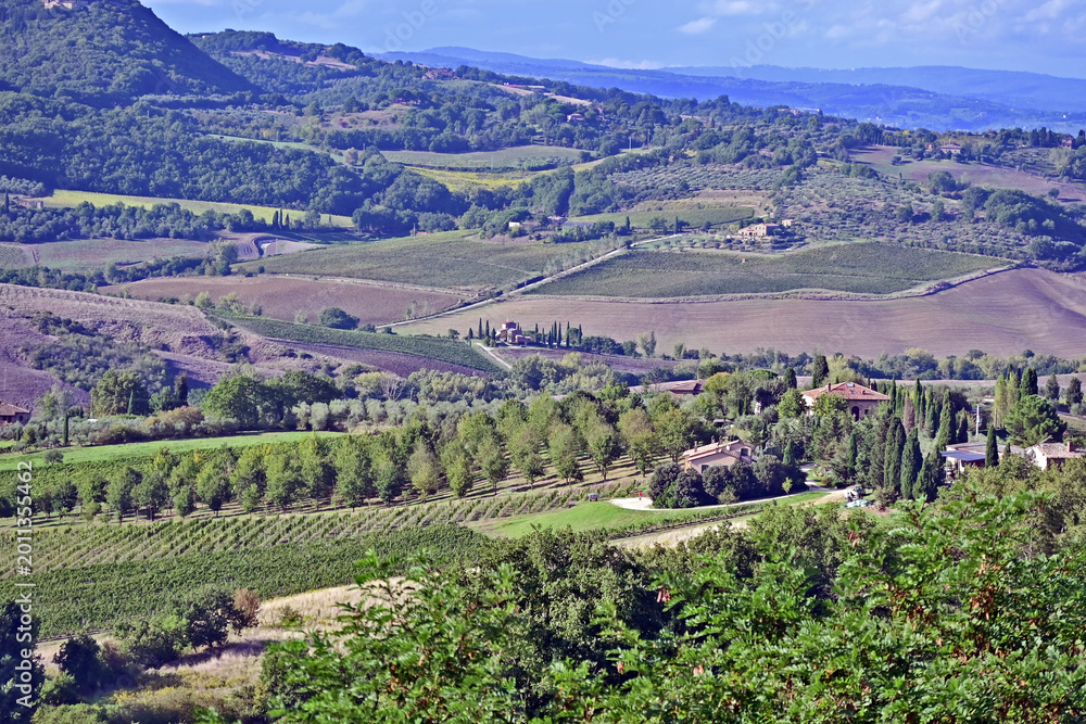 Naklejka premium Montepulciano, veduta della valle dalla Chiesa o Santuario della Madonna di San Biagio, Val d'Orcia, Toscana