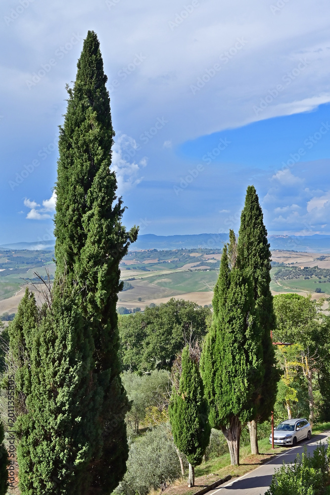 Obraz premium Pienza, le colline della Val d'Orcia dalla loggia di Palazzo Piccolomini, Val d'Orcia, Toscana