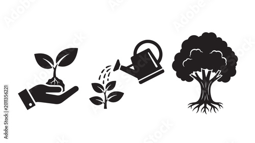 Vector Illustration Of Plant Growth Stages From Seedling To Tree For Environmental And Gardening Concepts Isolated On Transparent Background