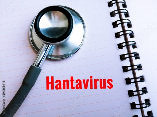 Hantavirus, epidemic, medical conceptual image.