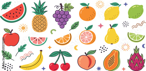 Fresh tropical and seasonal fruit collection with watermelon pineapple grapes apple orange dragon fruit vector