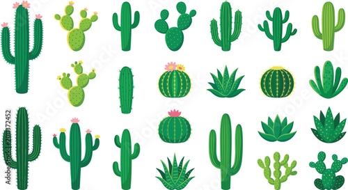 Quadro su tela Large vector collection of diverse green cactus and succulent plants with flowers in flat design style isolated on white background for desert nature projects