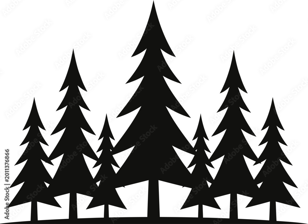 Obraz premium Silhouettes of pine trees in a forest landscape