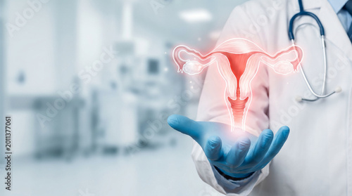 Doctor explaining female anatomy, uterus illustration for medical education and awareness.