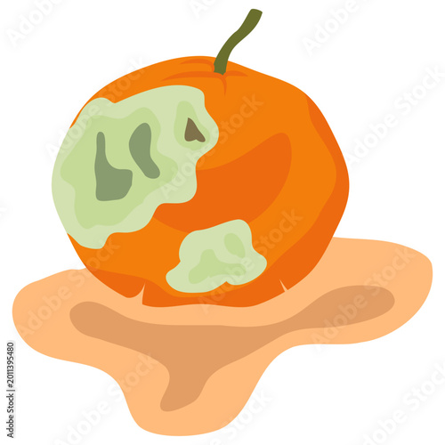 Cuadro en lienzo rotten orange, spoiled orange vector.